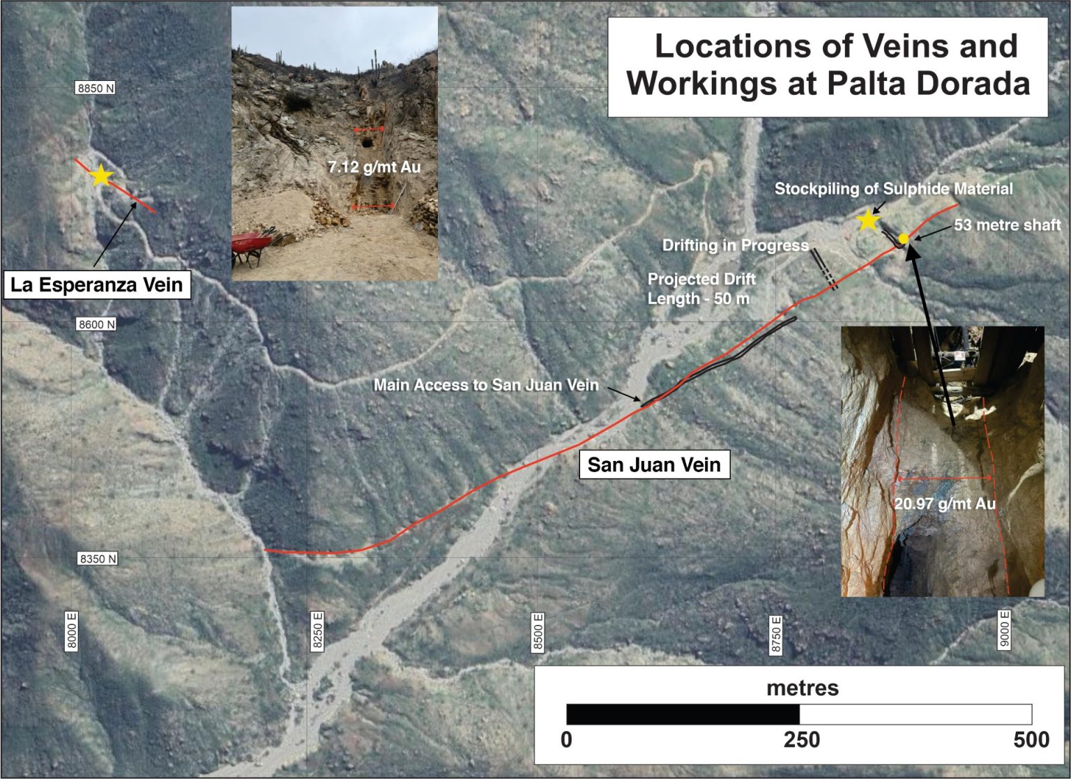 Map titled Locations of Veins and Workings at Palta Dorada, showing the San Juan Vein, the 53 metre shaft, the sulphide stockpile, drifting in progress, the projected 50 metre drift and the La Esperanza Vein, with two inset photographs labelled 7.12 g/mt Au and 20.97 g/mt Au